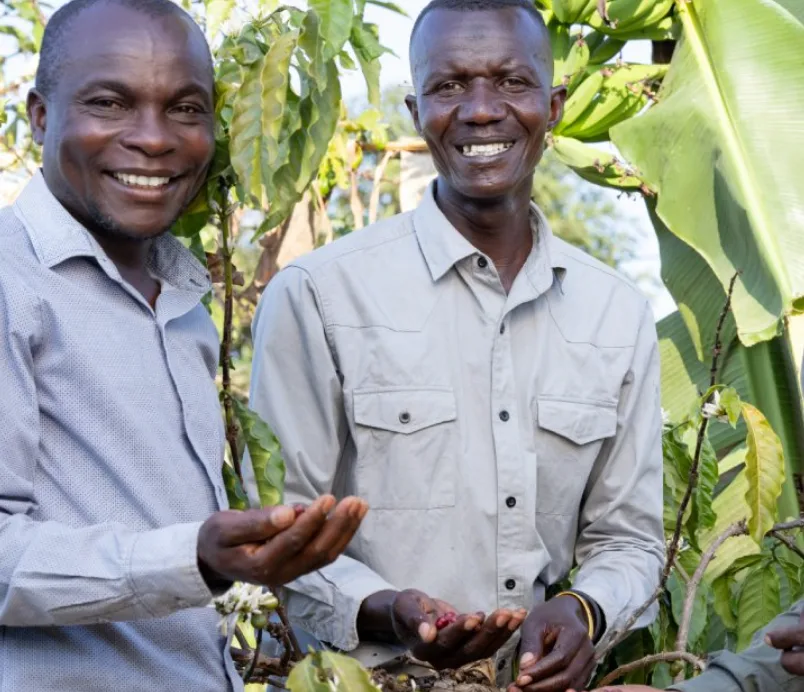 Two Sukuma farmers holding freshly picked coffee cherries